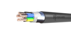 Power Cables with Plastic Insulation for 0.66 and 1 kV - PvBSHv Type