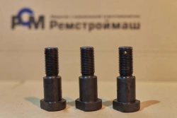 Bolt for securing supports or skis on rail systems - 50mm, L=120mm