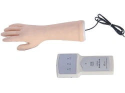 Anatomical Hand Training Model for IV Injection Practice, S4