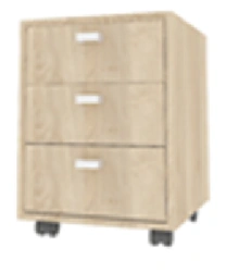 Mobile Cabinet for Industrial Premises, "OOO SPEKTR" Model