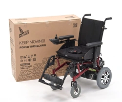 Electric Wheelchair Observer Standard