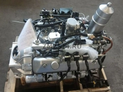 Eight-Cylinder Gasoline and CNG Engine with Fuel Injection 5245.1000400-20