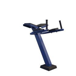 Reverse Hyperextension Machine for Physical Development