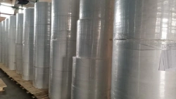 Non-Woven Polypropylene Fabric, Density 25-70 g/m²