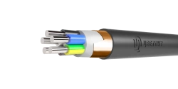Power Cables with Plastic Insulation for 0.66 and 1 kV AПвВГЭнг(А)