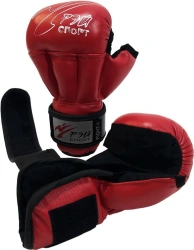 FIGHT-1 Sparring Gloves for Martial Arts, Model C4ИХ