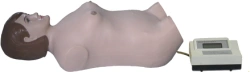 Abdominal Palpation and Auscultation Manikin, FB