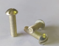 Semicircular Head Screws