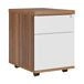 Zion File Cabinet with 2 Drawers - Durable and Stylish