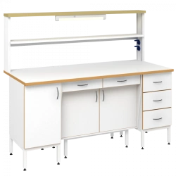 Laboratory workbench