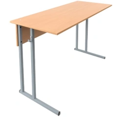 Two-Person Non-Adjustable Student Desk Model 10033