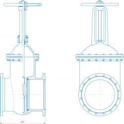 Cast Iron Valve