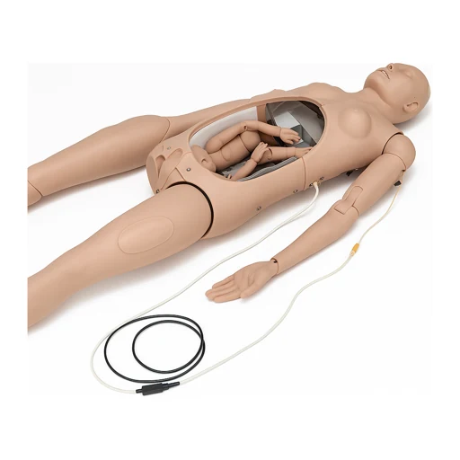 Obstetric & Childbirth Simulators