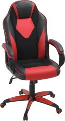 Ergonomic Enigma I Chair