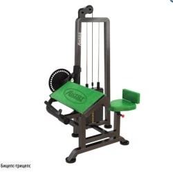 Bicep and Tricep Isolated Training Machine