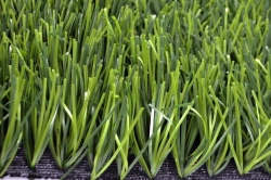 Artificial Grass Turf Grass Fibra 15Z/8.8 PU
