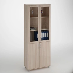 Document Cabinet with 2 Doors and Shelves (Glass)