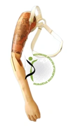 Cosmetic Shoulder Prosthesis PR8-KVO for Amputees