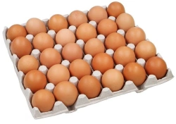 Fresh Table Chicken Egg Grade 1