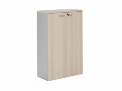 Modern Office Cabinet with Wooden Doors, Art. FLS322