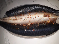 Salted Mackerel Fish Without Head