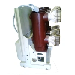 Vacuum Circuit Breaker 6(10) kV Series VR3