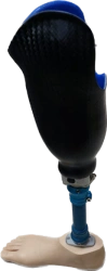 Bath Leg Prosthesis for Amputation