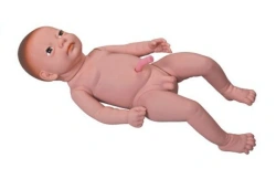 Realistic Life-Size Newborn Model with Umbilical Cord Y3
