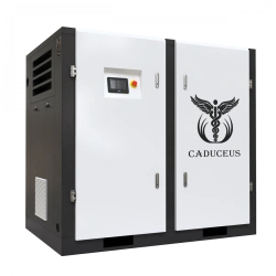 Medical Air Compressor Station CADUCEUS AIRCAD 3-200 S