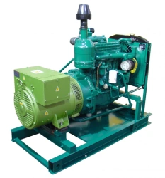 Diesel Electric Generator Set DEU-30