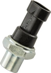 Fuel Pressure Emergency Sensor 6072.3829-05