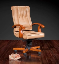 Donatello DB-730M Low Back Chair