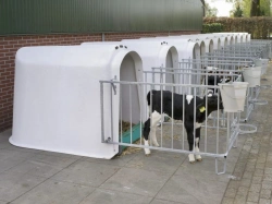 Calf Shelter with Metal Fencing - Fiberglass Construction