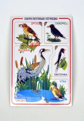 Migratory Birds Inset Frames Educational Toy