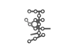Heel Plate with Angular Stability for Fracture Fixation