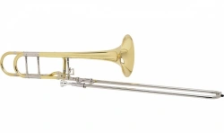Professional Level Trombone "Model X