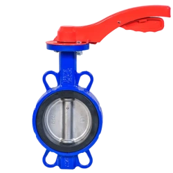 Interflange Water Valve LW2.xxxH