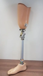 Modular Hip Prosthesis for All Age Groups Post-Amputation