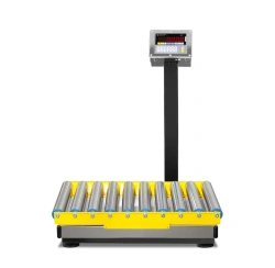 Electronic Scales with Programmable Weight Limits and Discreteness PVm with Roller Conveyor