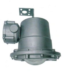 Explosion-Proof DBP Standart Ex Lighting Fixture