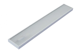 Diora Office SE 40/4900 Microprism Emergency Light