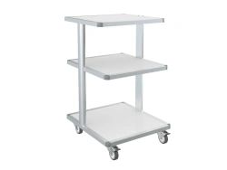 Laboratory Equipment Trolley Stand ST-2 "Labromed-3