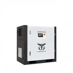 Caduceus AIRCAD 2-11 S Air Compressor Station