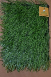 Artificial Grass Covering Optigrass LSR 55 MF