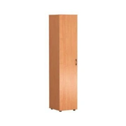 Narrow Closed Document Cabinet with 1 Door