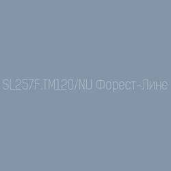 Special Upgrade Longitudinal Milling Machine SL257F.TM120/NU with CNC