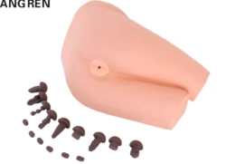 Rectal Examination Simulator LV39A / CS6254