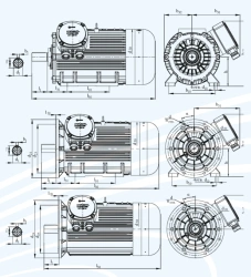 Explosion-Proof Asynchronous Motors Series DV 250 up to 37 kW