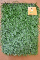 Optigrass Classic 40 MF - Artificial Grass Turf
