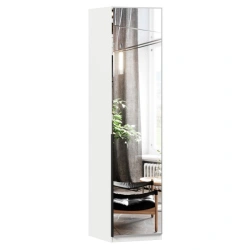 Mirror Door Cabinet